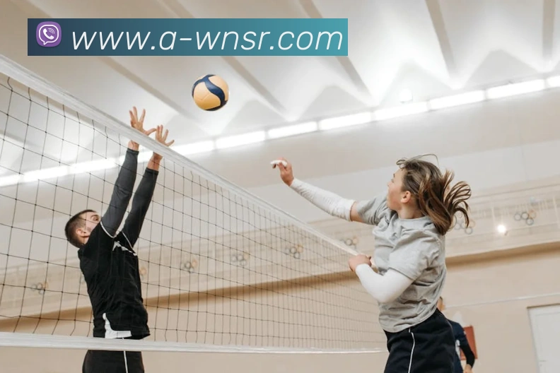 威尼斯人官网平台生态图