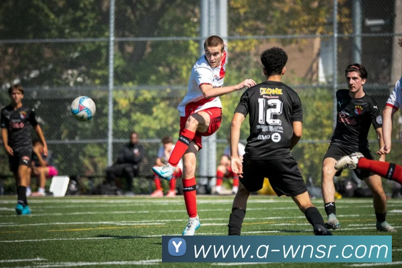 威尼斯人官网APP 封面图